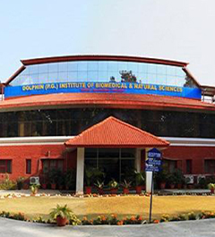 Dolphin College