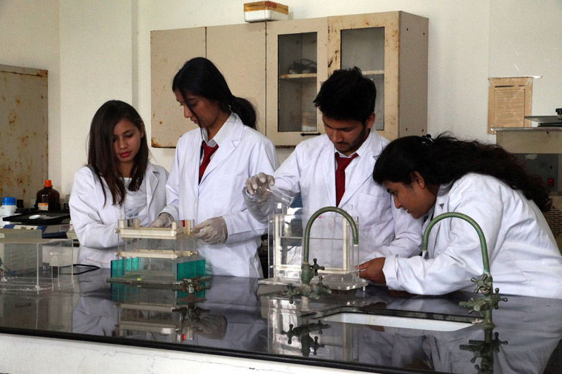 Best University in Dehradun