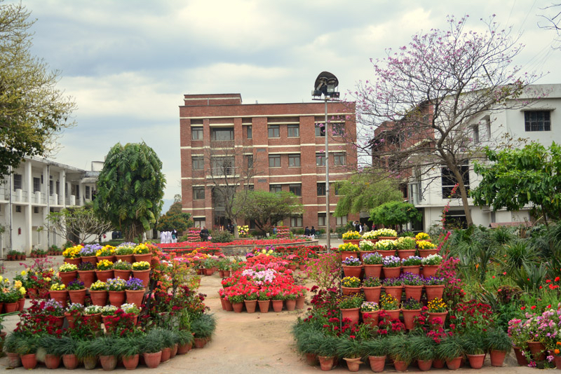 Best University in Dehradun
