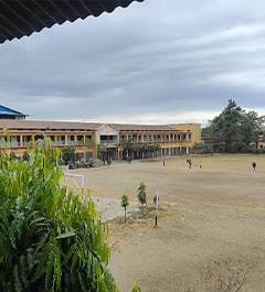 DBS College