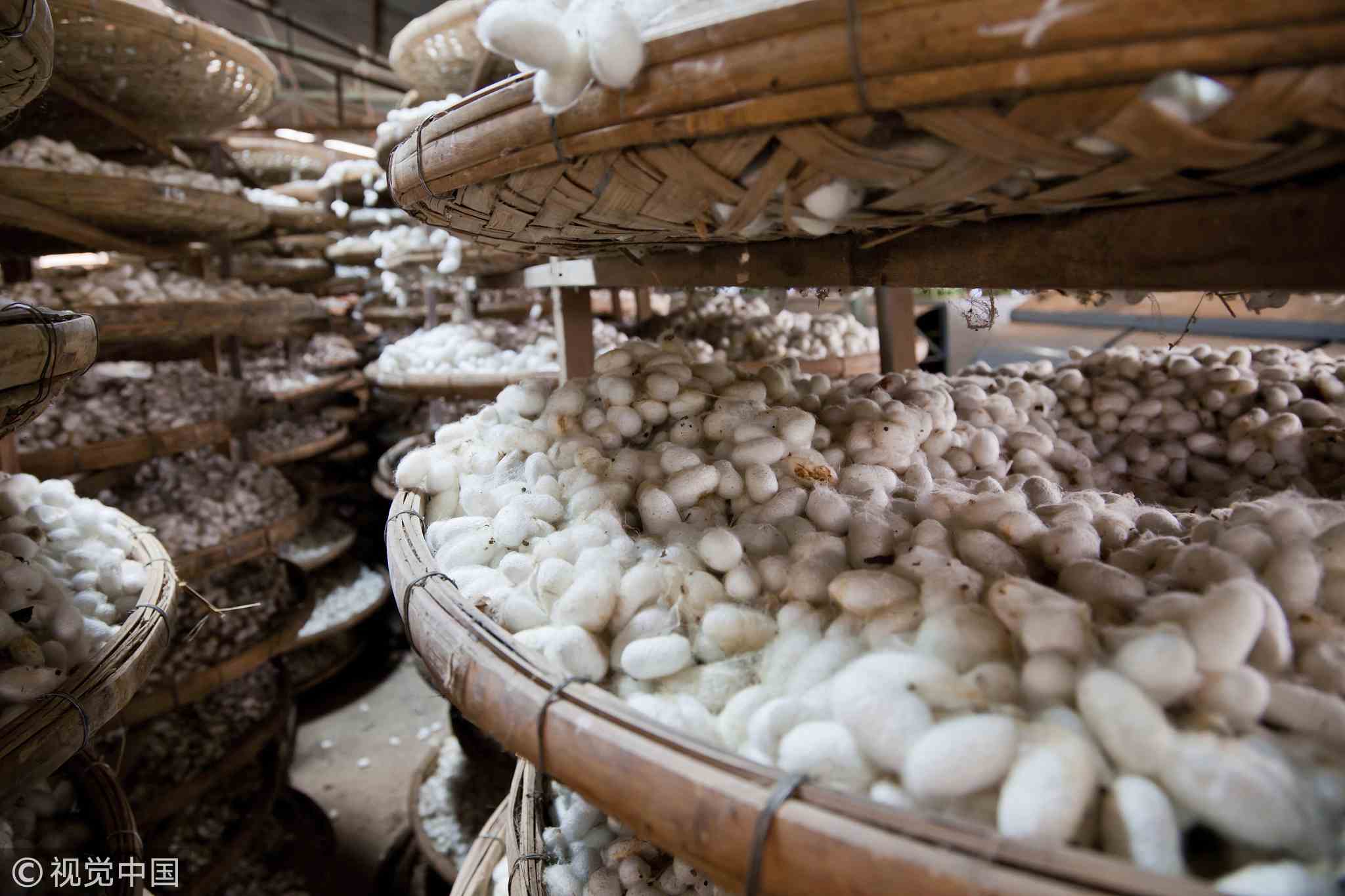 Sericulture course in Dehradun