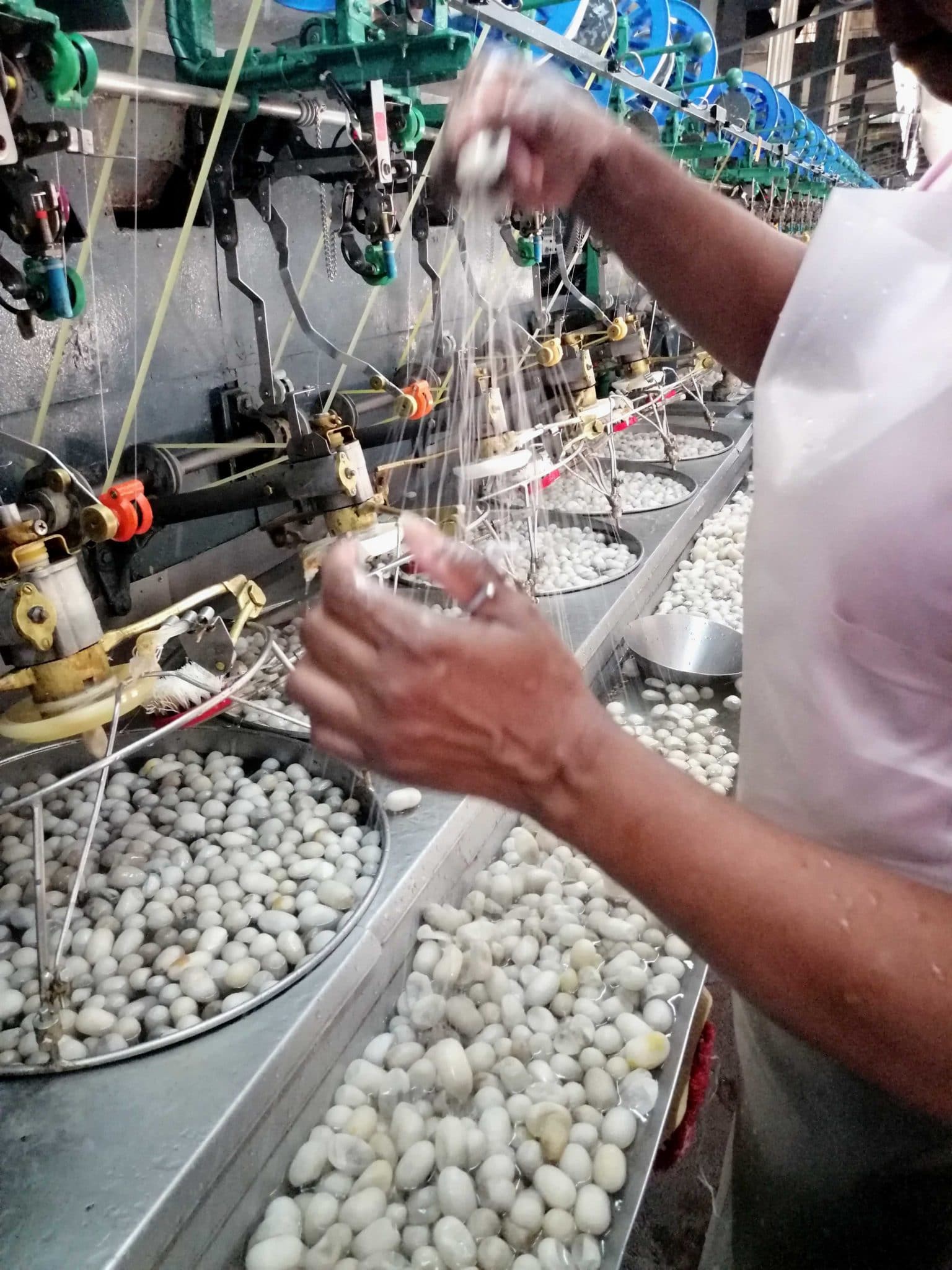 Sericulture course in Dehradun