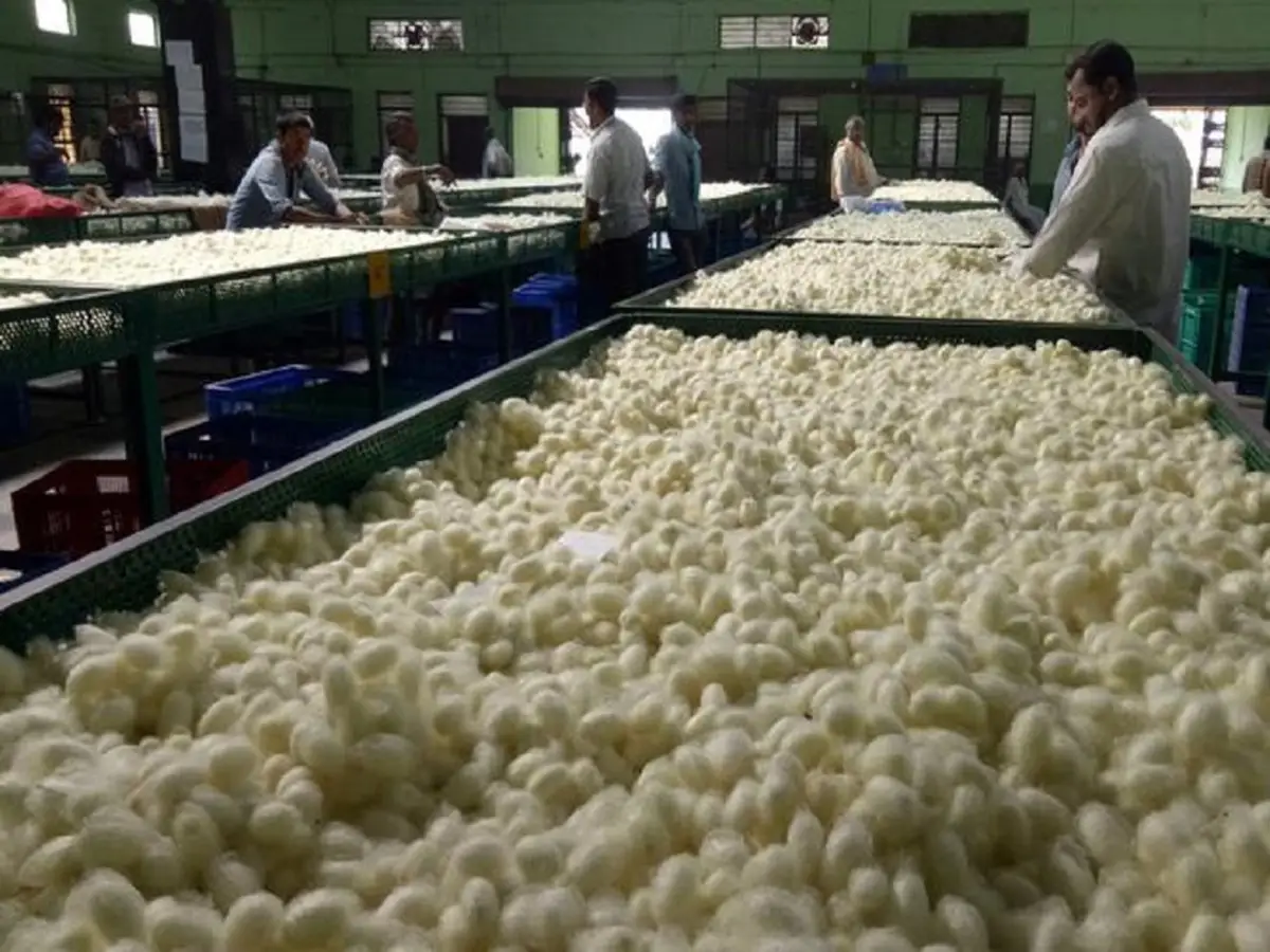 Sericulture course in Dehradun
